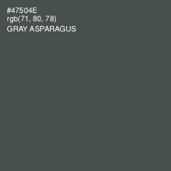 #47504E - Gray Asparagus Color Image